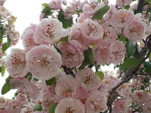 Photo 789258